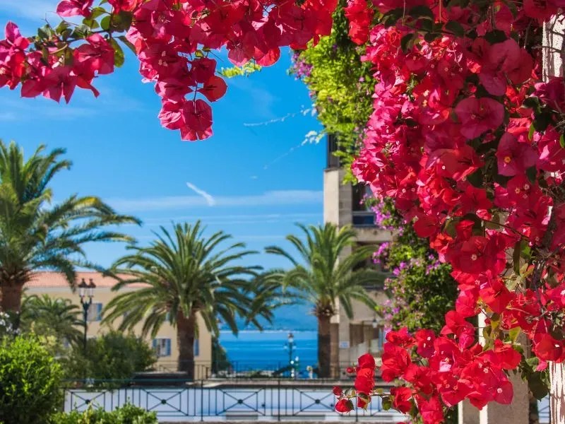 Corsica - the island of beauty