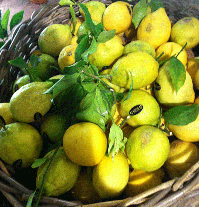 Menton-limones