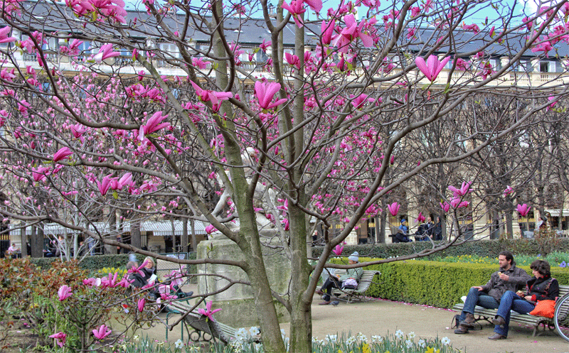 paris-en-primavera-palacio-real
