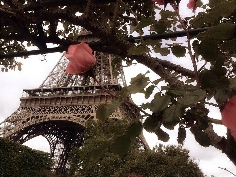 12 datos fascinantes sobre la Torre Eiffel París
